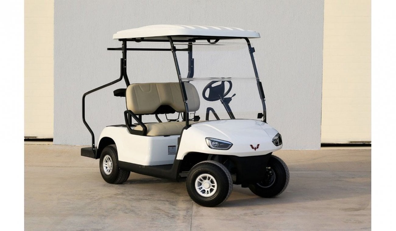 Others Golf Buggy 2021